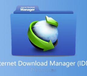 下载工具Inet Download Manager 6.38.2绿色版