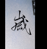 学写《岁》字